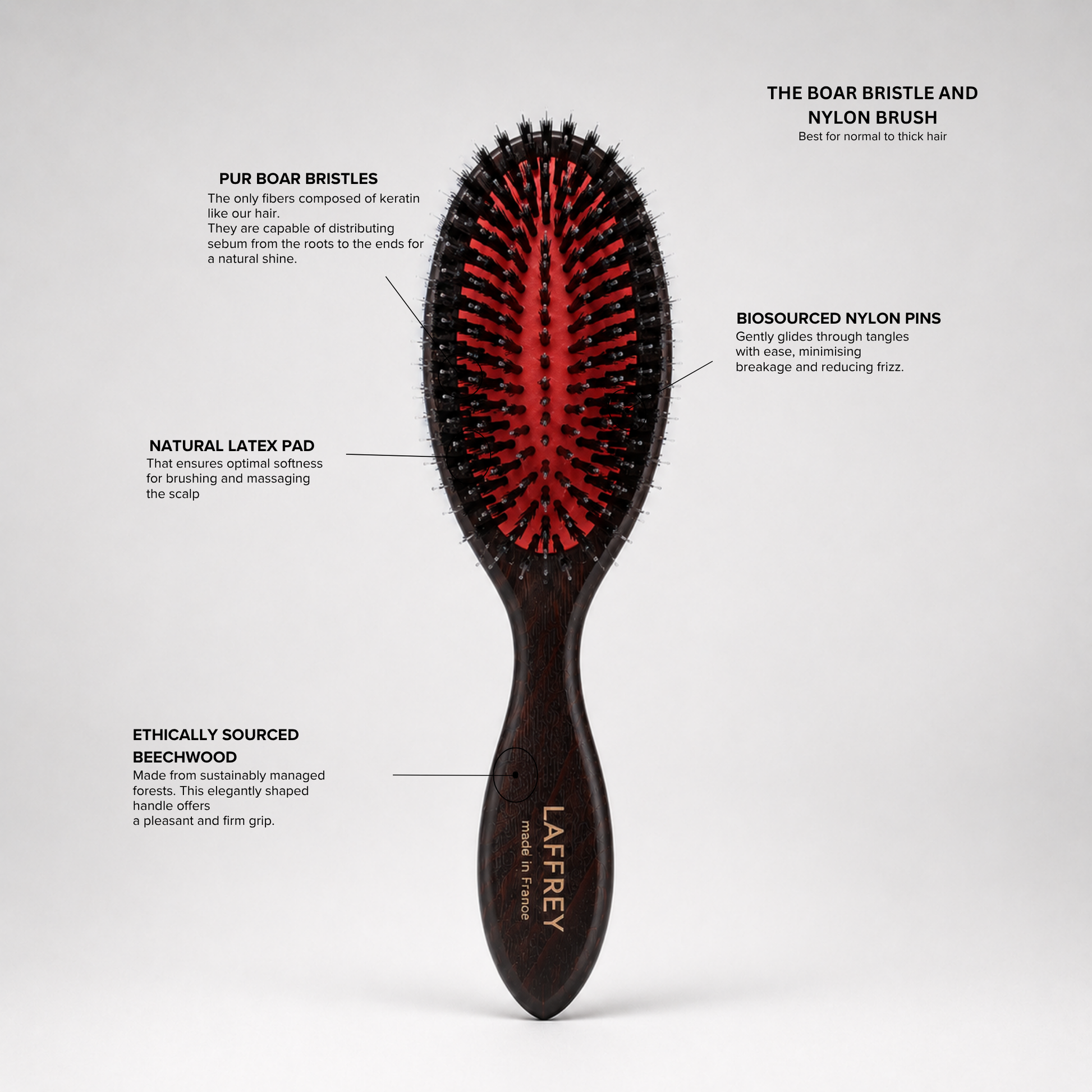 The Boar Bristle and Nylon Brush